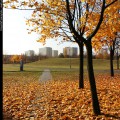 Jesień w parku Czarneckiego
